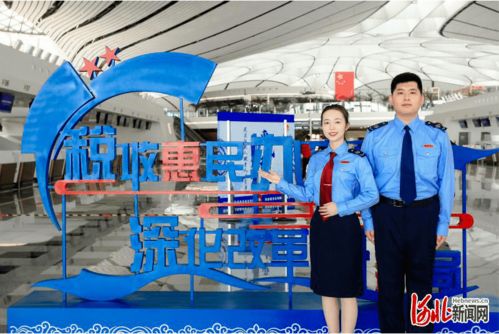 河北省稅務(wù)局實(shí)施人才 科技 雙輪驅(qū)動(dòng) 推進(jìn)稅收征管改革落地