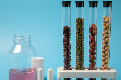 花生大豆食品安全農(nóng)業(yè)科技食品培育攝影圖 插畫 下載至來(lái)源處